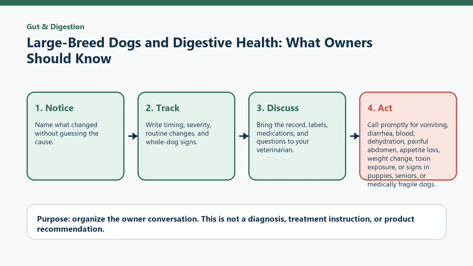 Decision pathway for Large-Breed Dogs and Digestive Health: What Owners Should Know.