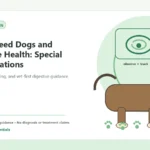 Custom Healthy Paws Essentials illustration for Small-Breed Dogs and Digestive Health: Special Considerations, showing a dog and a vet-first care planning concept.