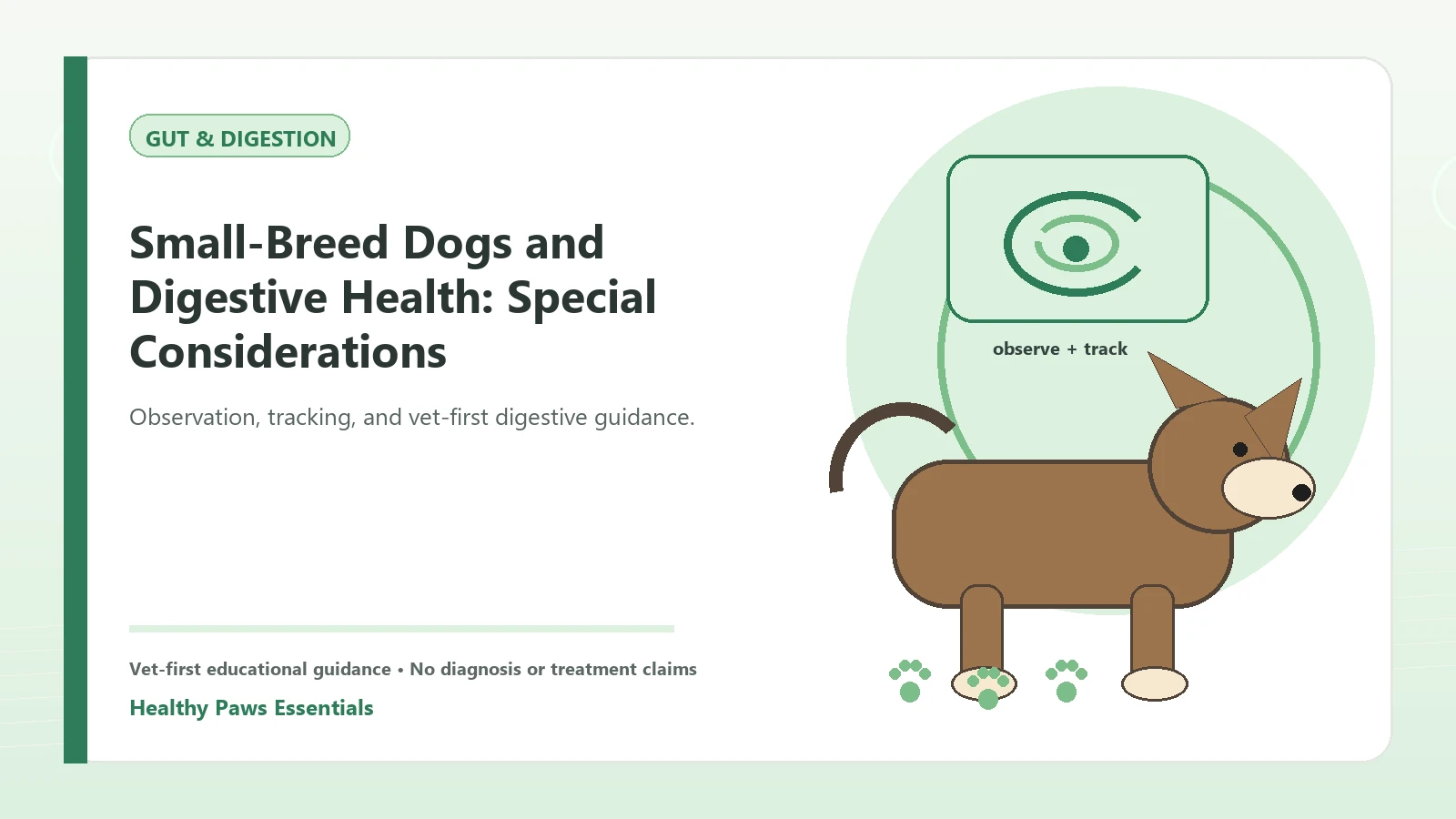 Custom Healthy Paws Essentials illustration for Small-Breed Dogs and Digestive Health: Special Considerations, showing a dog and a vet-first care planning concept.