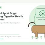 Custom Healthy Paws Essentials illustration for Active and Sport Dogs: Supporting Digestive Health Under Stress, showing a dog and a vet-first care planning concept.