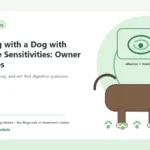 Custom Healthy Paws Essentials illustration for Traveling with a Dog with Digestive Sensitivities: Owner Strategies, showing a dog and a vet-first care planning concept.