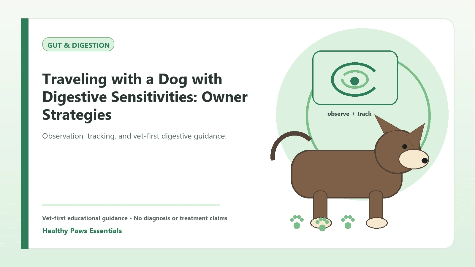 Custom Healthy Paws Essentials illustration for Traveling with a Dog with Digestive Sensitivities: Owner Strategies, showing a dog and a vet-first care planning concept.