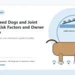 Custom Healthy Paws Essentials illustration for Large-Breed Dogs and Joint Health: Risk Factors and Owner Guidance, showing a dog and a vet-first care planning concept.