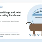 Custom Healthy Paws Essentials illustration for Small-Breed Dogs and Joint Health: Luxating Patella and Beyond, showing a dog and a vet-first care planning concept.