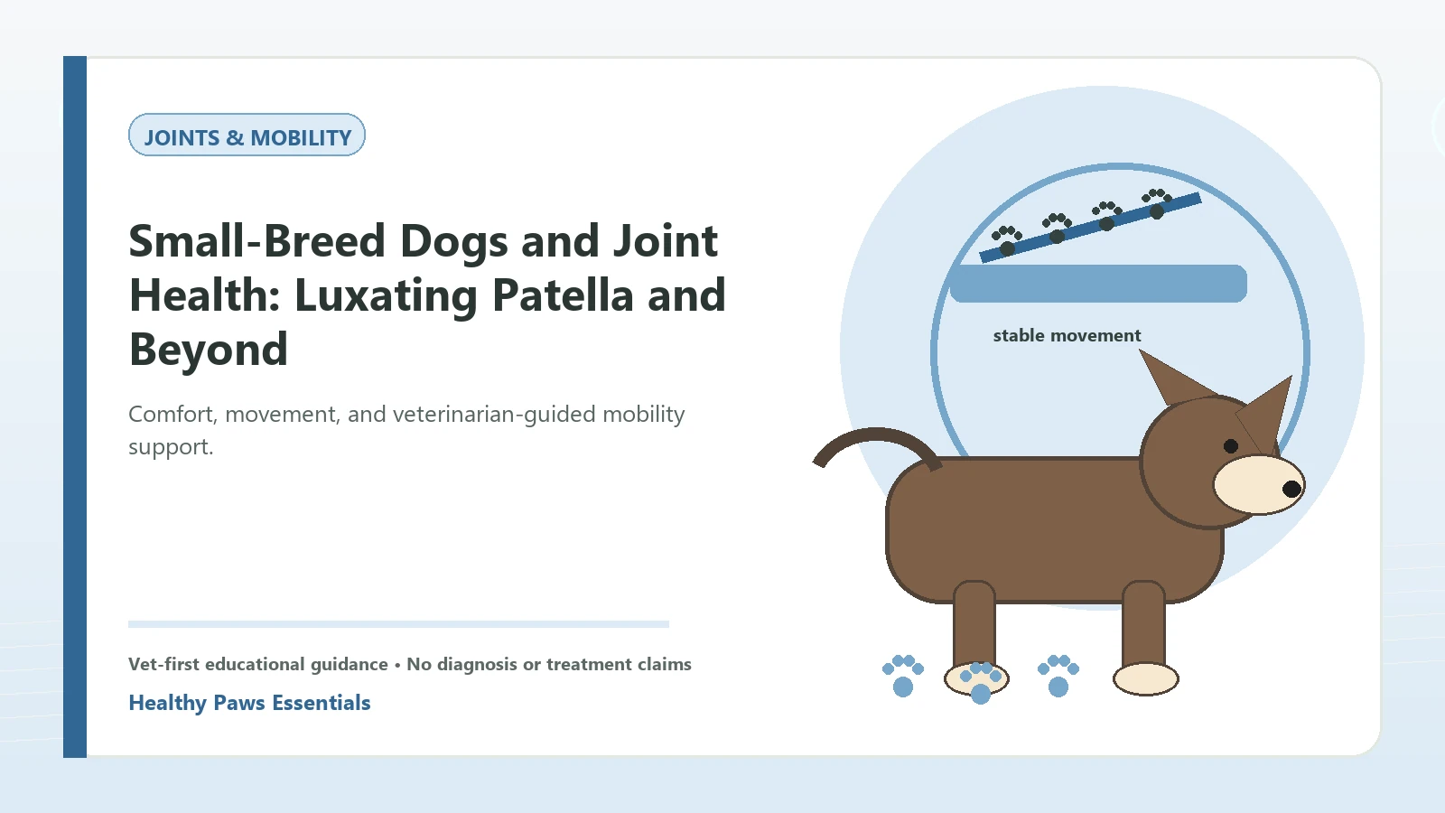 Custom Healthy Paws Essentials illustration for Small-Breed Dogs and Joint Health: Luxating Patella and Beyond, showing a dog and a vet-first care planning concept.