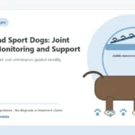Custom Healthy Paws Essentials illustration for Active and Sport Dogs: Joint Health Monitoring and Support, showing a dog and a vet-first care planning concept.