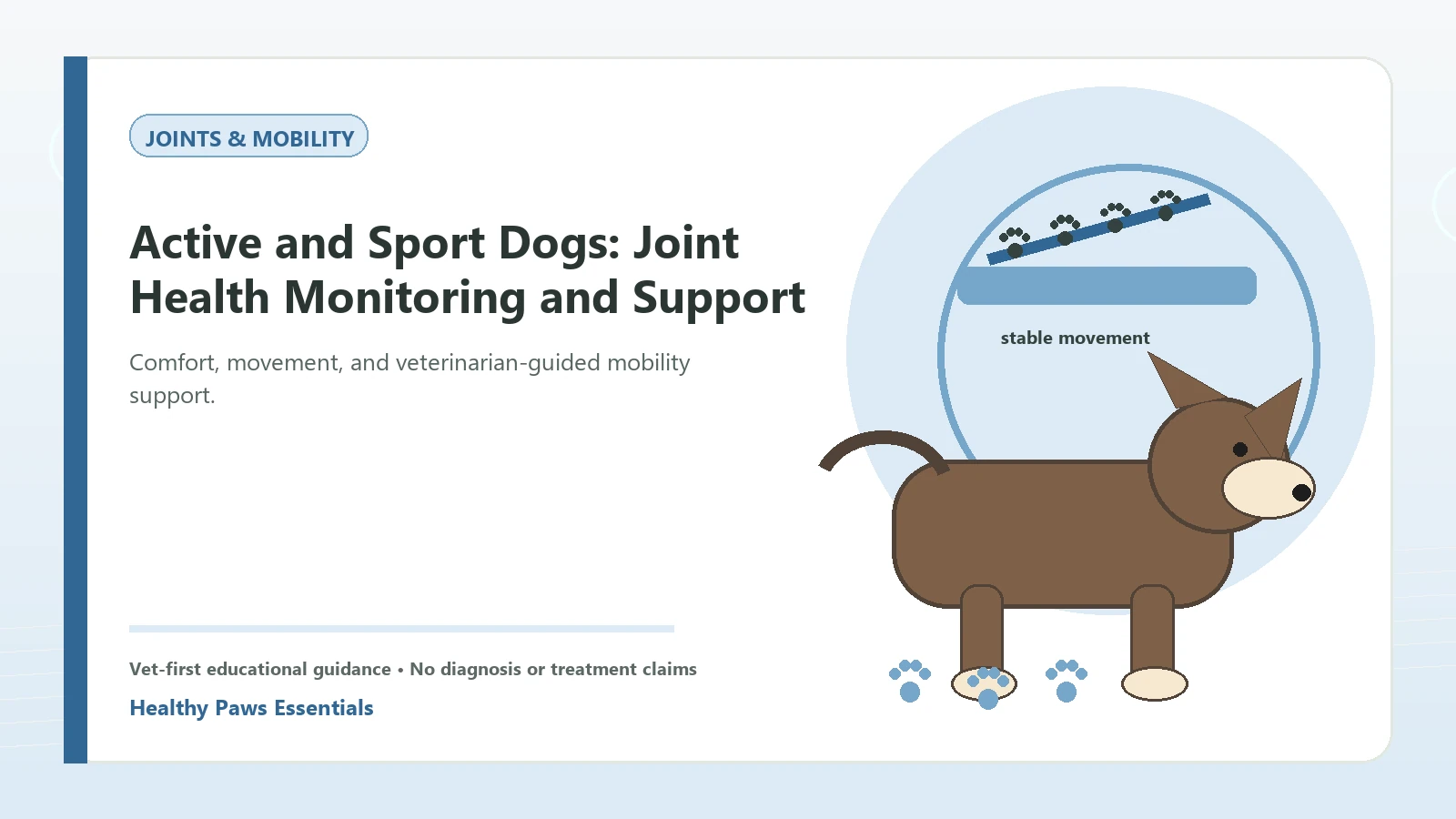 Custom Healthy Paws Essentials illustration for Active and Sport Dogs: Joint Health Monitoring and Support, showing a dog and a vet-first care planning concept.