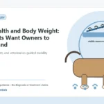 Custom Healthy Paws Essentials illustration for Joint Health and Body Weight: What Vets Want Owners to Understand, showing a dog and a vet-first care planning concept.
