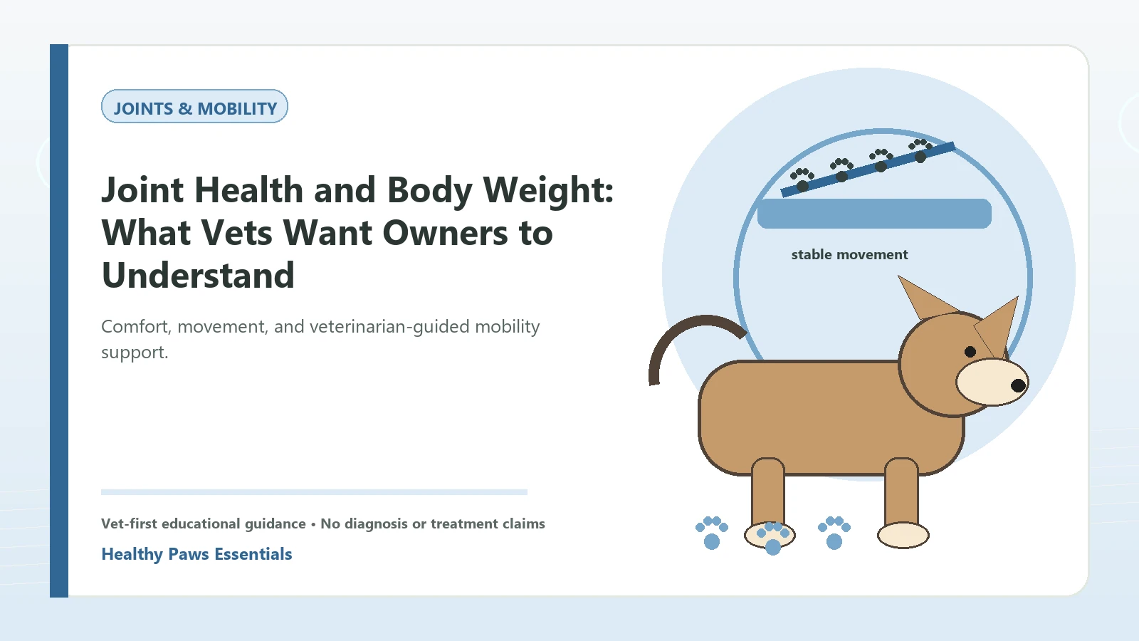Custom Healthy Paws Essentials illustration for Joint Health and Body Weight: What Vets Want Owners to Understand, showing a dog and a vet-first care planning concept.