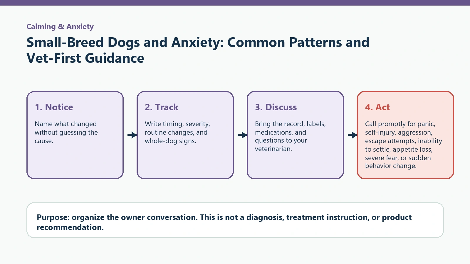 Decision pathway for Small-Breed Dogs and Anxiety: Common Patterns and Vet-First Guidance.