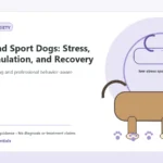 Custom Healthy Paws Essentials illustration for Active and Sport Dogs: Stress, Overstimulation, and Recovery, showing a dog and a vet-first care planning concept.