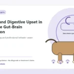 Custom Healthy Paws Essentials illustration for Anxiety and Digestive Upset in Dogs: The Gut-Brain Connection, showing a dog and a vet-first care planning concept.