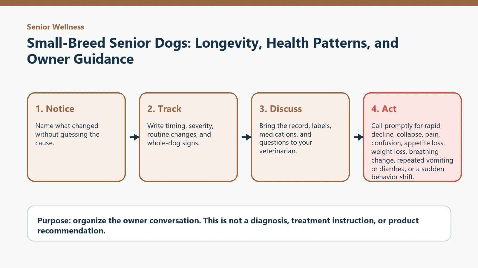 Decision pathway for Small-Breed Senior Dogs: Longevity, Health Patterns, and Owner Guidance.