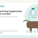 Custom Healthy Paws Essentials illustration for Large-Breed Dog Supplements: What Vets Consider, showing a dog and a vet-first care planning concept.