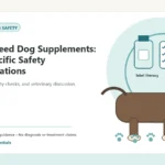 Custom Healthy Paws Essentials illustration for Small-Breed Dog Supplements: Size-Specific Safety Considerations, showing a dog and a vet-first care planning concept.