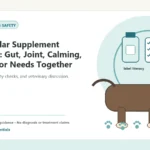 Custom Healthy Paws Essentials illustration for Cross-Pillar Supplement Planning: Gut, Joint, Calming, and Senior Needs Together, showing a dog and a vet-first care planning concep