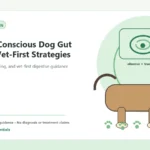Custom Healthy Paws Essentials illustration for Budget-Conscious Dog Gut Health: Vet-First Strategies, showing a dog and a vet-first care planning concept.