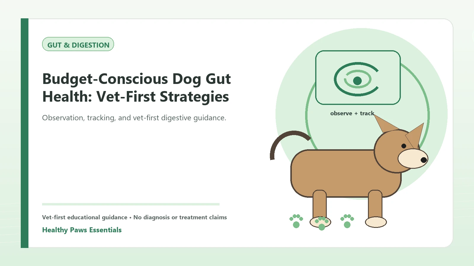 Custom Healthy Paws Essentials illustration for Budget-Conscious Dog Gut Health: Vet-First Strategies, showing a dog and a vet-first care planning concept.