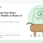 Custom Healthy Paws Essentials illustration for Monitoring Your Dog's Digestive Health at Home: A Checklist, showing a dog and a vet-first care planning concept.