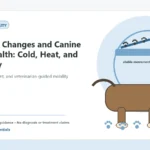 Custom Healthy Paws Essentials illustration for Seasonal Changes and Canine Joint Health: Cold, Heat, and Humidity, showing a dog and a vet-first care planning concept.