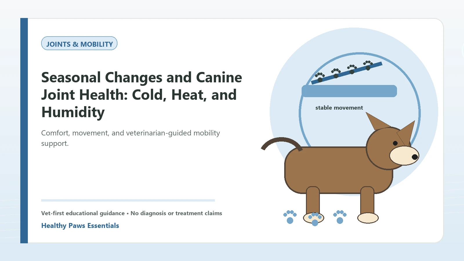 Custom Healthy Paws Essentials illustration for Seasonal Changes and Canine Joint Health: Cold, Heat, and Humidity, showing a dog and a vet-first care planning concept.