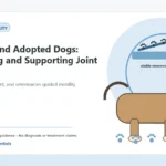 Custom Healthy Paws Essentials illustration for Rescue and Adopted Dogs: Assessing and Supporting Joint Health, showing a dog and a vet-first care planning concept.
