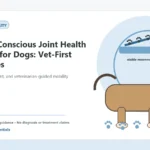Custom Healthy Paws Essentials illustration for Budget-Conscious Joint Health Support for Dogs: Vet-First Strategies, showing a dog and a vet-first care planning concept.