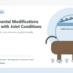 Custom Healthy Paws Essentials illustration for Environmental Modifications for Dogs with Joint Conditions, showing a dog and a vet-first care planning concept.