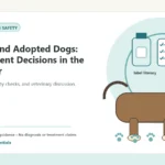 Custom Healthy Paws Essentials illustration for Rescue and Adopted Dogs: Supplement Decisions in the First Year, showing a dog and a vet-first care planning concept.