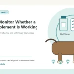 Custom Healthy Paws Essentials illustration for How to Monitor Whether a Dog Supplement Is Working, showing a dog and a vet-first care planning concept.