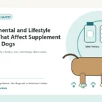 Custom Healthy Paws Essentials illustration for Environmental and Lifestyle Factors That Affect Supplement Needs in Dogs, showing a dog and a vet-first care planning concept.