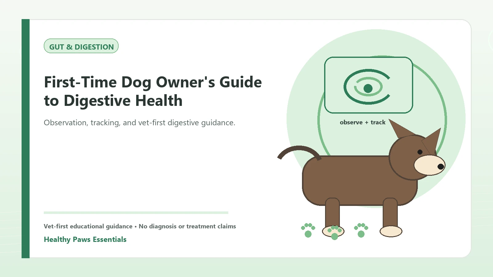 Custom Healthy Paws Essentials illustration for First-Time Dog Owner's Guide to Digestive Health, showing a dog and a vet-first care planning concept.