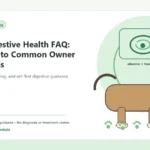Custom Healthy Paws Essentials illustration for Dog Digestive Health FAQ: Answers to Common Owner Questions, showing a dog and a vet-first care planning concept.
