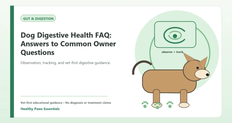 Custom Healthy Paws Essentials illustration for Dog Digestive Health FAQ: Answers to Common Owner Questions, showing a dog and a vet-first care planning concept.