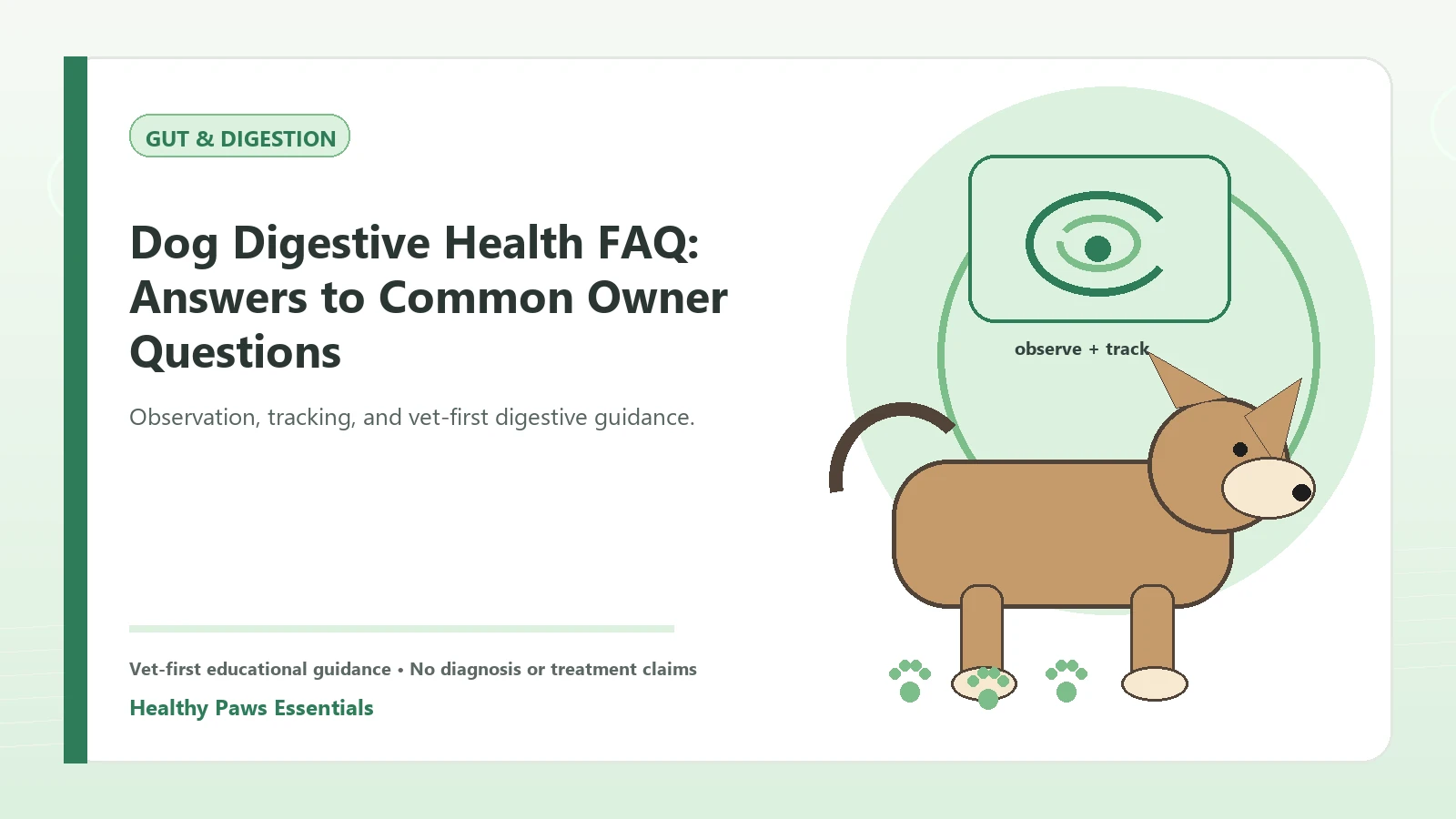 Custom Healthy Paws Essentials illustration for Dog Digestive Health FAQ: Answers to Common Owner Questions, showing a dog and a vet-first care planning concept.