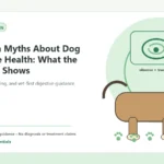 Custom Healthy Paws Essentials illustration for Common Myths About Dog Digestive Health: What the Evidence Shows, showing a dog and a vet-first care planning concept.