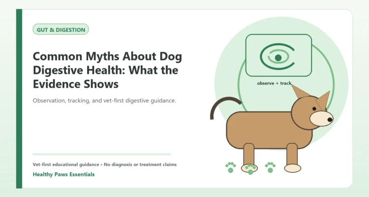 Custom Healthy Paws Essentials illustration for Common Myths About Dog Digestive Health: What the Evidence Shows, showing a dog and a vet-first care planning concept.