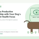 Custom Healthy Paws Essentials illustration for Building a Productive Relationship with Your Dog's Vet: A Gut Health Focus, showing a dog and a vet-first care planning concept.