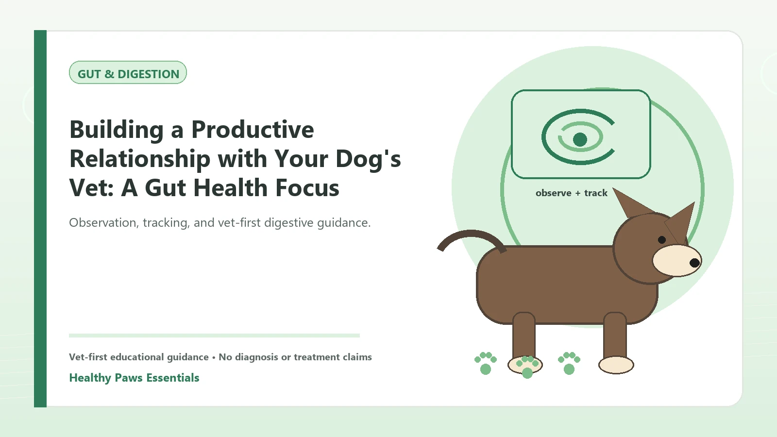 Custom Healthy Paws Essentials illustration for Building a Productive Relationship with Your Dog's Vet: A Gut Health Focus, showing a dog and a vet-first care planning concept.