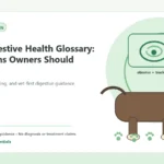 Custom Healthy Paws Essentials illustration for Dog Digestive Health Glossary: Key Terms Owners Should Know, showing a dog and a vet-first care planning concept.