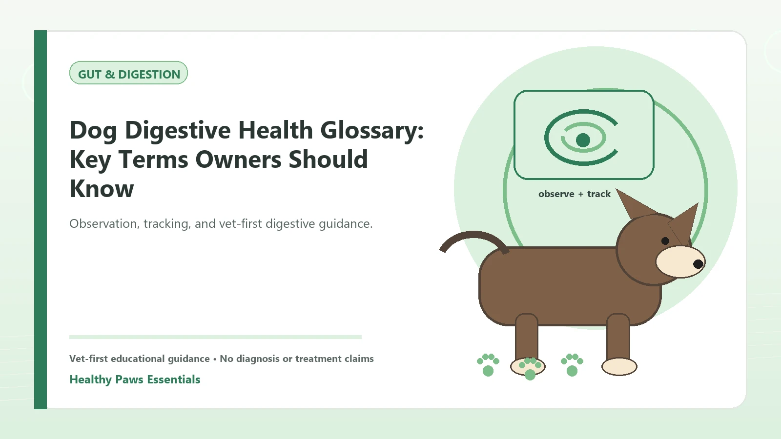 Custom Healthy Paws Essentials illustration for Dog Digestive Health Glossary: Key Terms Owners Should Know, showing a dog and a vet-first care planning concept.