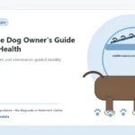 Custom Healthy Paws Essentials illustration for First-Time Dog Owner's Guide to Joint Health, showing a dog and a vet-first care planning concept.