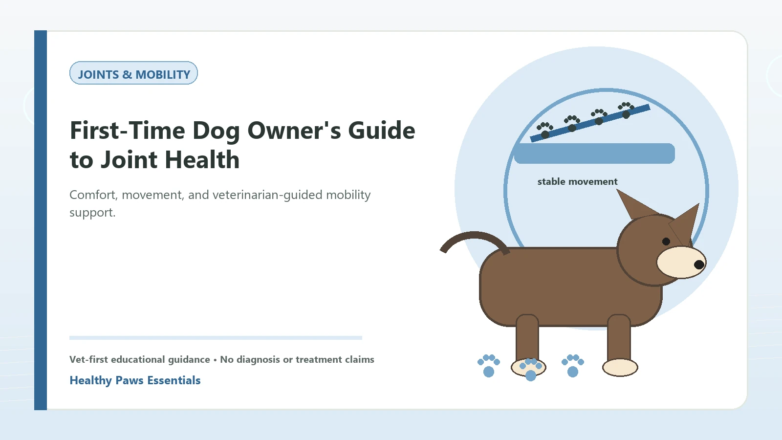 Custom Healthy Paws Essentials illustration for First-Time Dog Owner's Guide to Joint Health, showing a dog and a vet-first care planning concept.