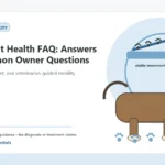 Custom Healthy Paws Essentials illustration for Dog Joint Health FAQ: Answers to Common Owner Questions, showing a dog and a vet-first care planning concept.