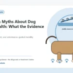 Custom Healthy Paws Essentials illustration for Common Myths About Dog Joint Health: What the Evidence Shows, showing a dog and a vet-first care planning concept.