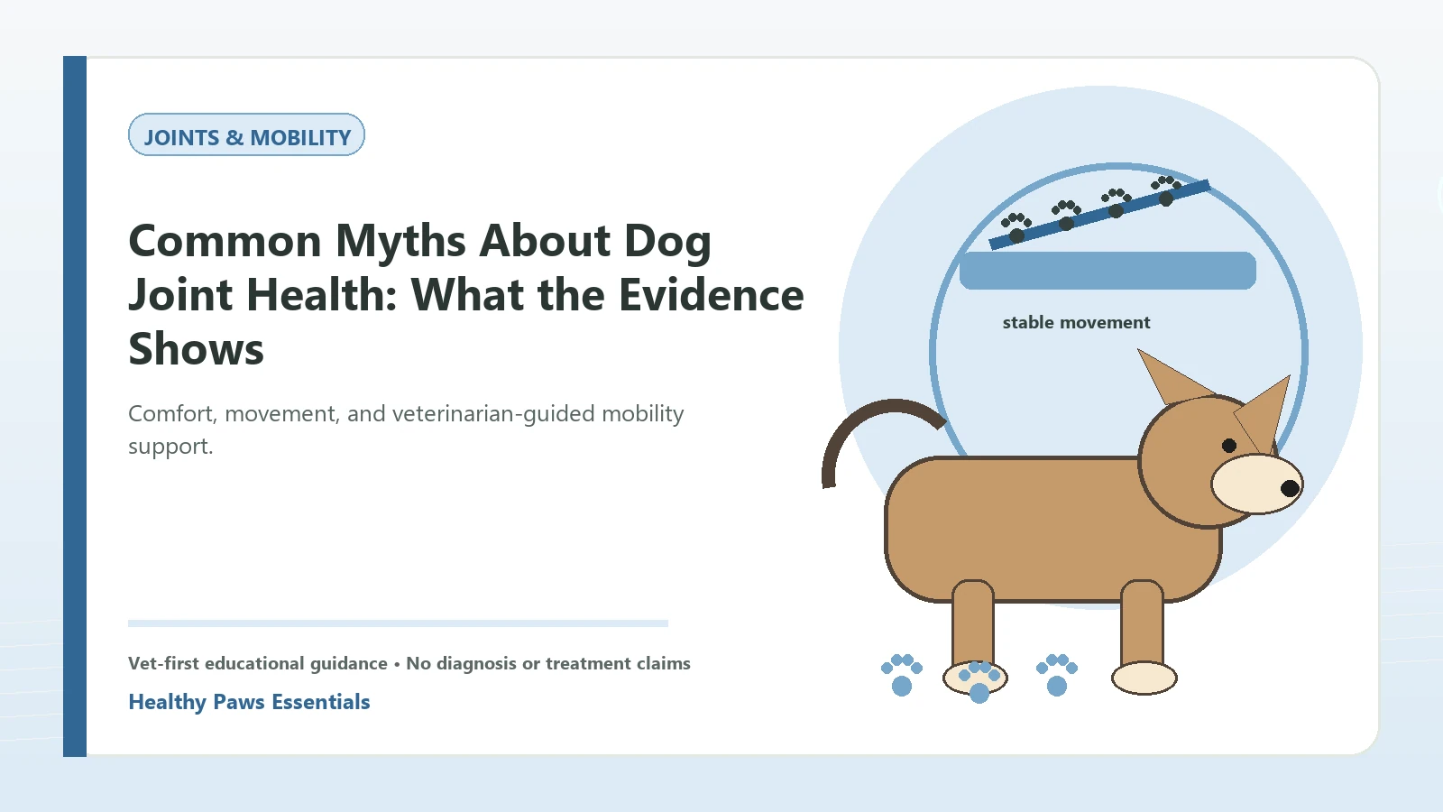 Custom Healthy Paws Essentials illustration for Common Myths About Dog Joint Health: What the Evidence Shows, showing a dog and a vet-first care planning concept.