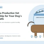 Custom Healthy Paws Essentials illustration for Building a Productive Vet Relationship for Your Dog's Joint Health, showing a dog and a vet-first care planning concept.