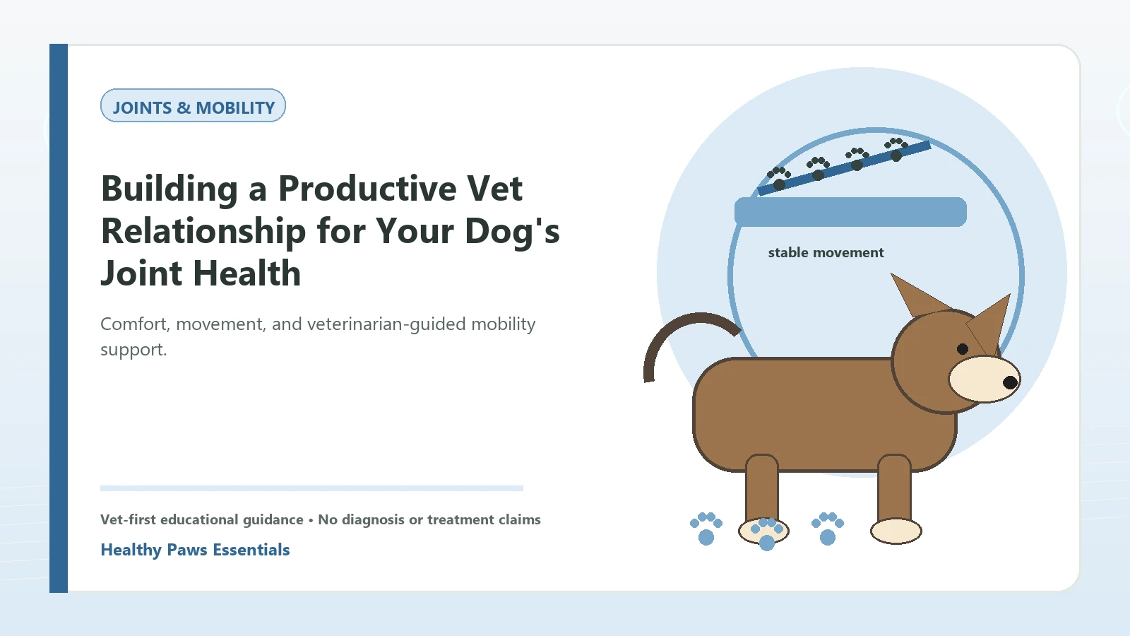 Custom Healthy Paws Essentials illustration for Building a Productive Vet Relationship for Your Dog's Joint Health, showing a dog and a vet-first care planning concept.
