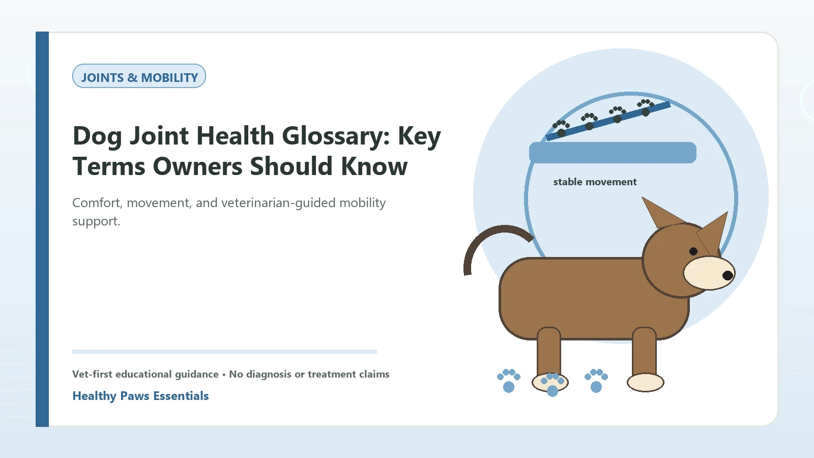 Custom Healthy Paws Essentials illustration for Dog Joint Health Glossary: Key Terms Owners Should Know, showing a dog and a vet-first care planning concept.