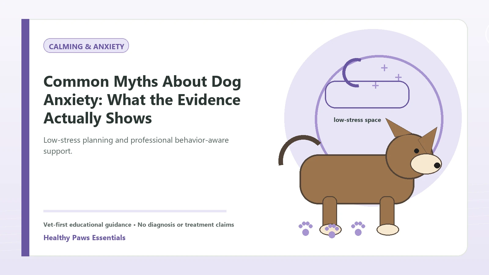 Custom Healthy Paws Essentials illustration for Common Myths About Dog Anxiety: What the Evidence Actually Shows, showing a dog and a vet-first care planning concept.
